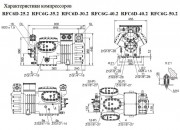 Компрессор RFC6G-50.2 (аналог 6F-50.2/6FE-50 Bitzer) DAMING