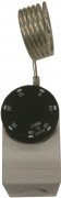 Термостат C10B2 (-20/+40С) FANTINI COSMI